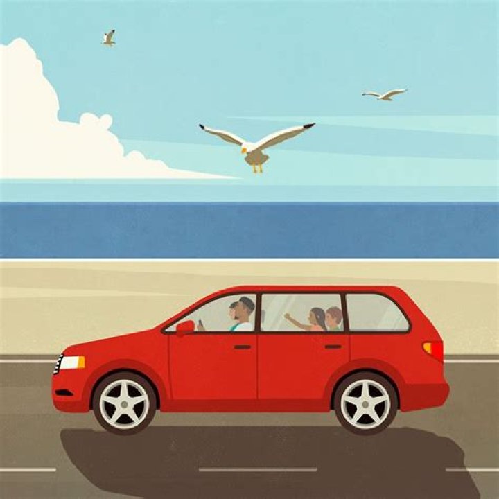 Are birds more likely to poop on white cars