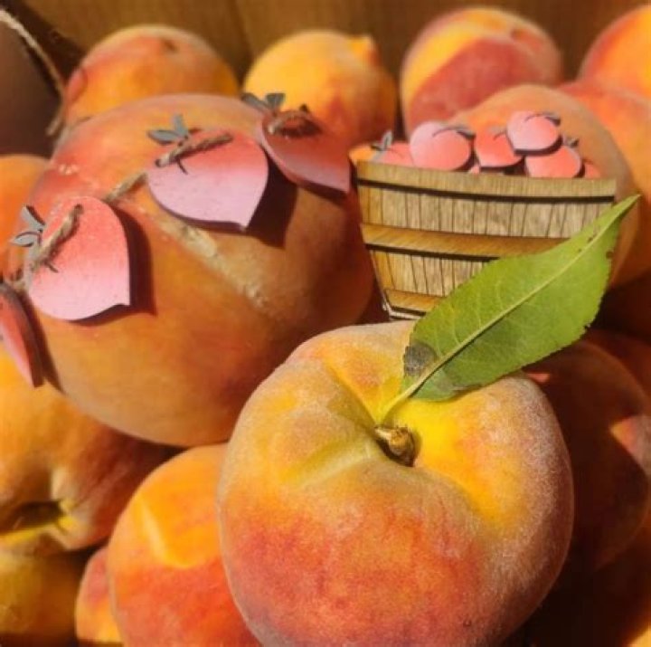 Are Palisade peaches Freestone