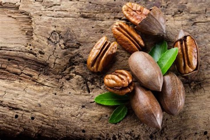Are pecans part of the nut family
