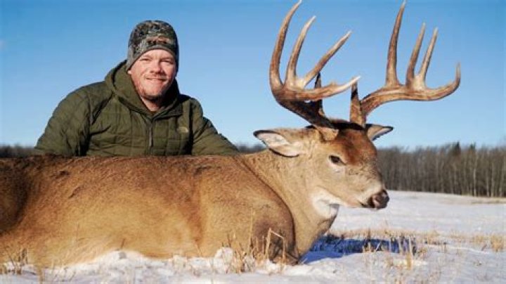 Can an arrow go through a deer