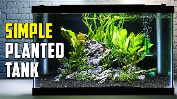 Can I make my own fish tank decor