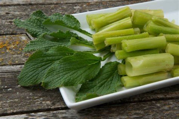 Can you eat raw borage leaves