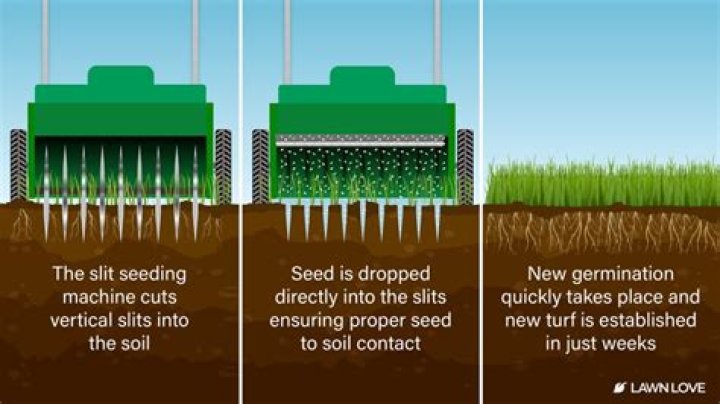 Can you slice seed in the rain