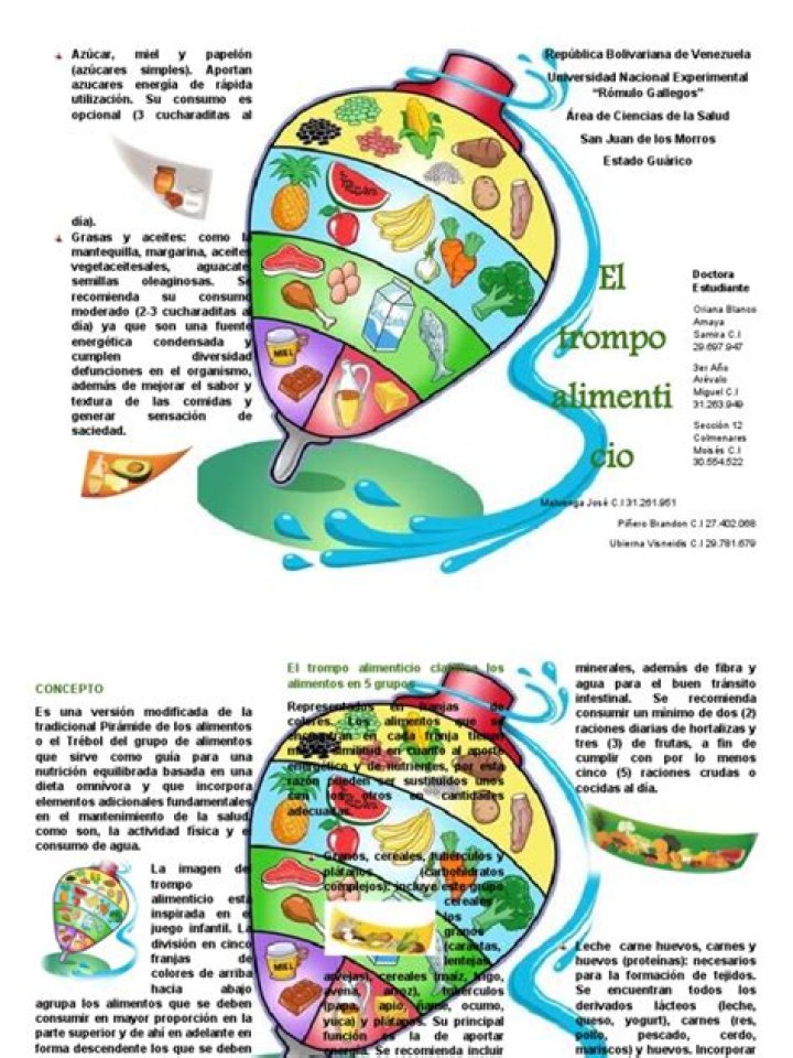 ¿Cómo se compone el trompo alimenticio