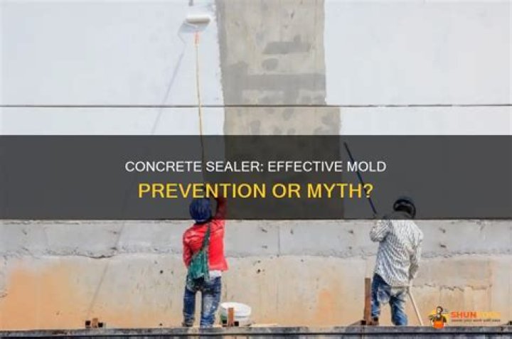Does concrete sealer prevent mold