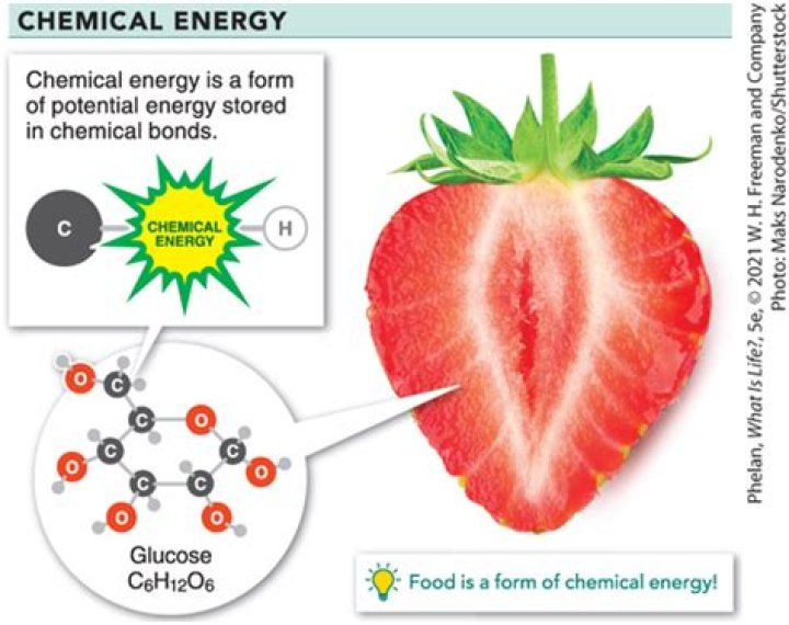 Does food contain chemical energy