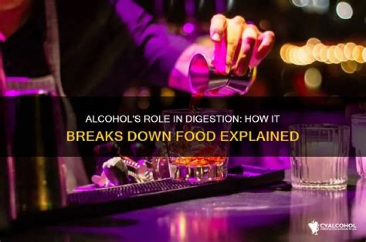 Does food help break down alcohol