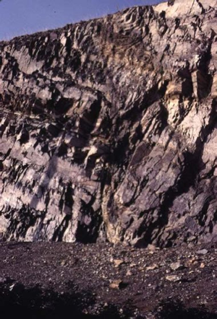 Does Hornfels contain plagioclase