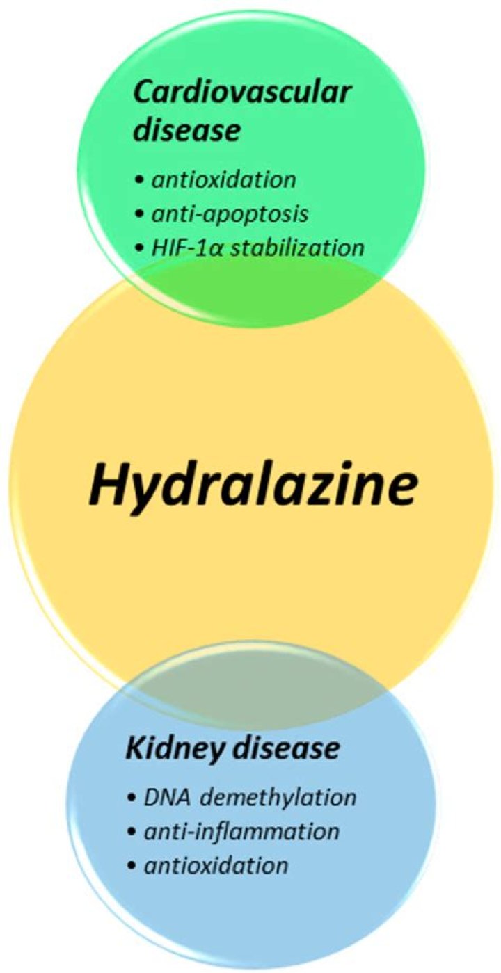 Does hydralazine get dialyzed out