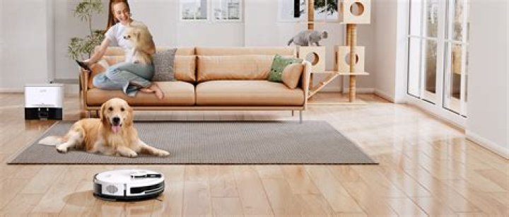 Does iLIFE vacuum work with Alexa