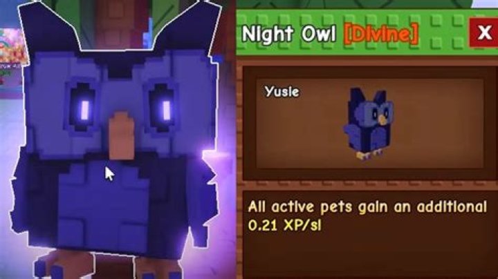 Does night owl have a monthly fee