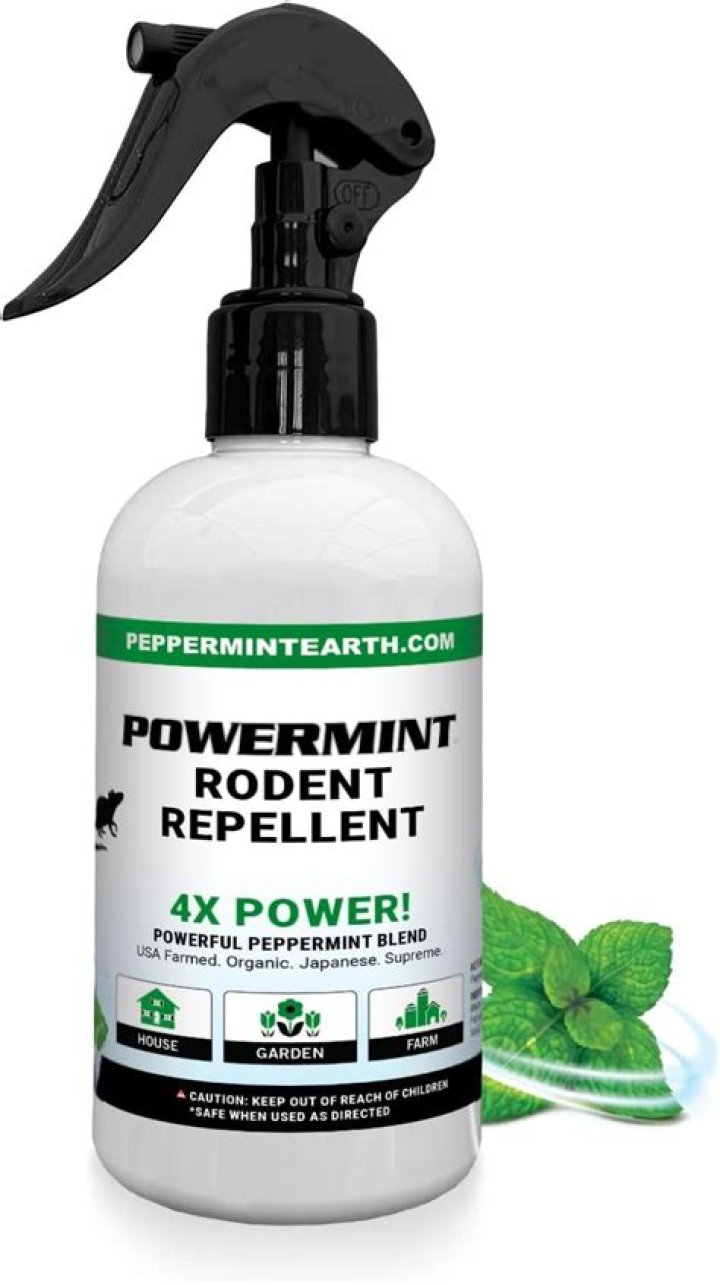 Does peppermint oil repel racoons