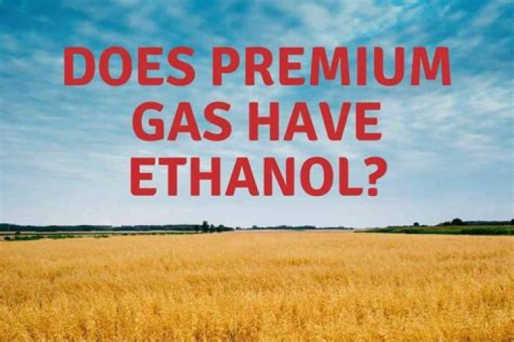 Does premium fuel contain ethanol