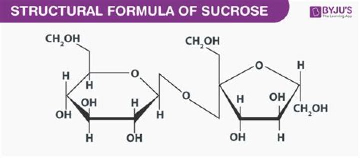 Does sucrose dissolve in methanol