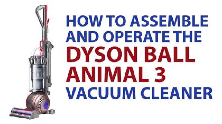 Does the Dyson Animal have a belt