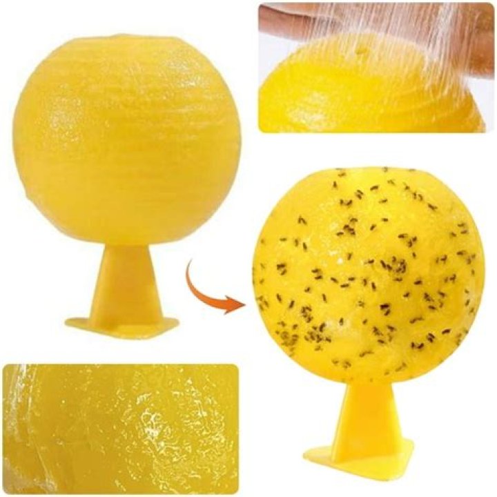 Does Walmart have fruit fly traps
