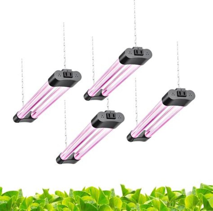 Does Walmart sell LED grow lights