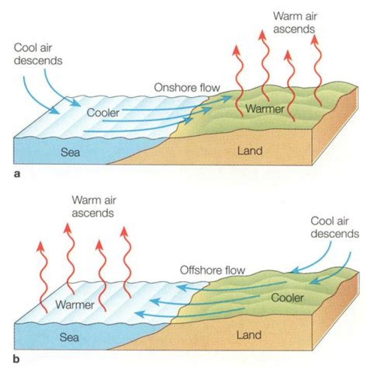 Does wind affect water visibility