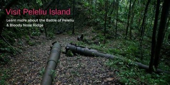 How bad was the Battle of Peleliu