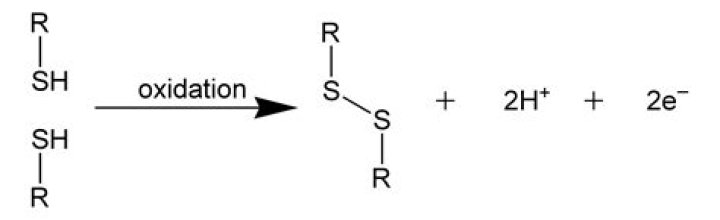 How can disulfide bonds be broken