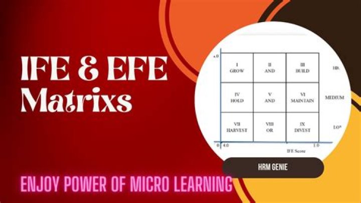 How do you make an EFE Matrix