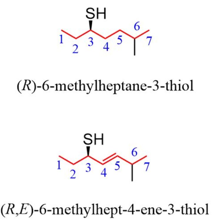 How do you name a thiol group