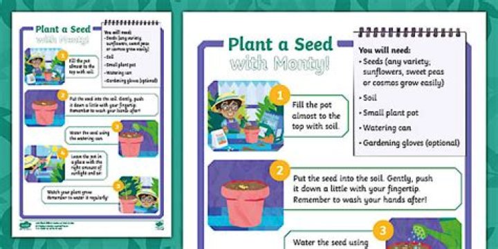 How do you plant a coral seed