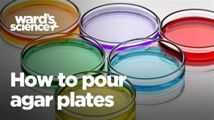 How do you pour an agar plate