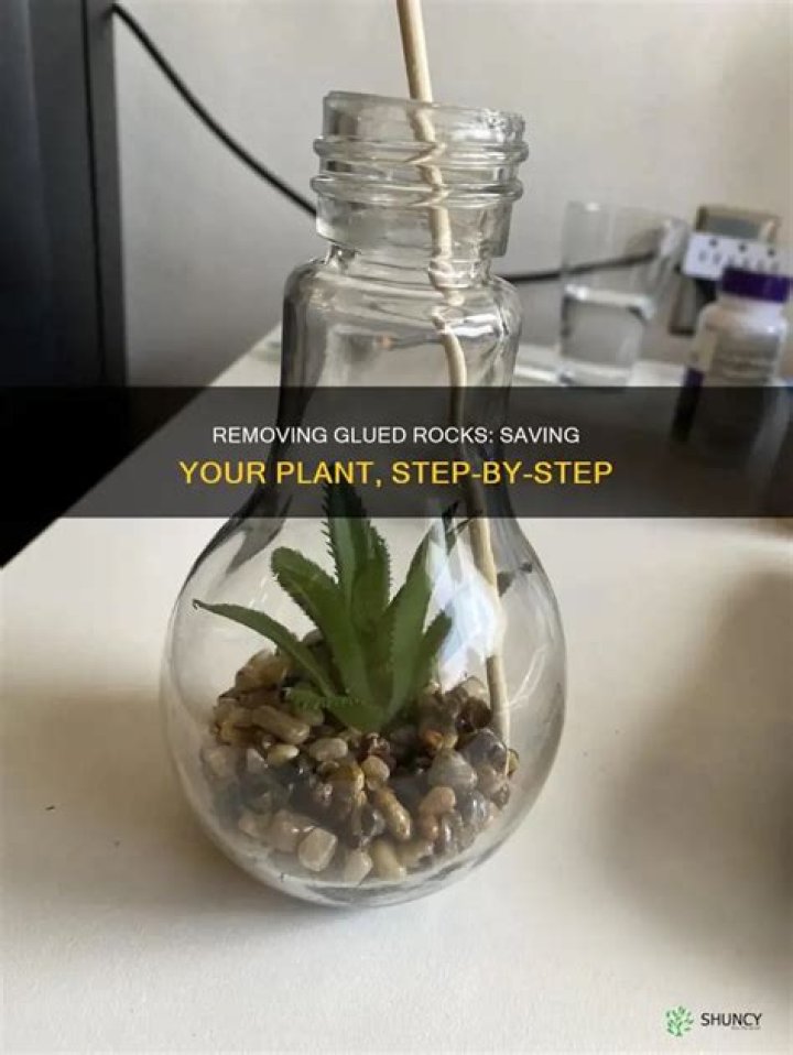 How do you remove glued rocks
