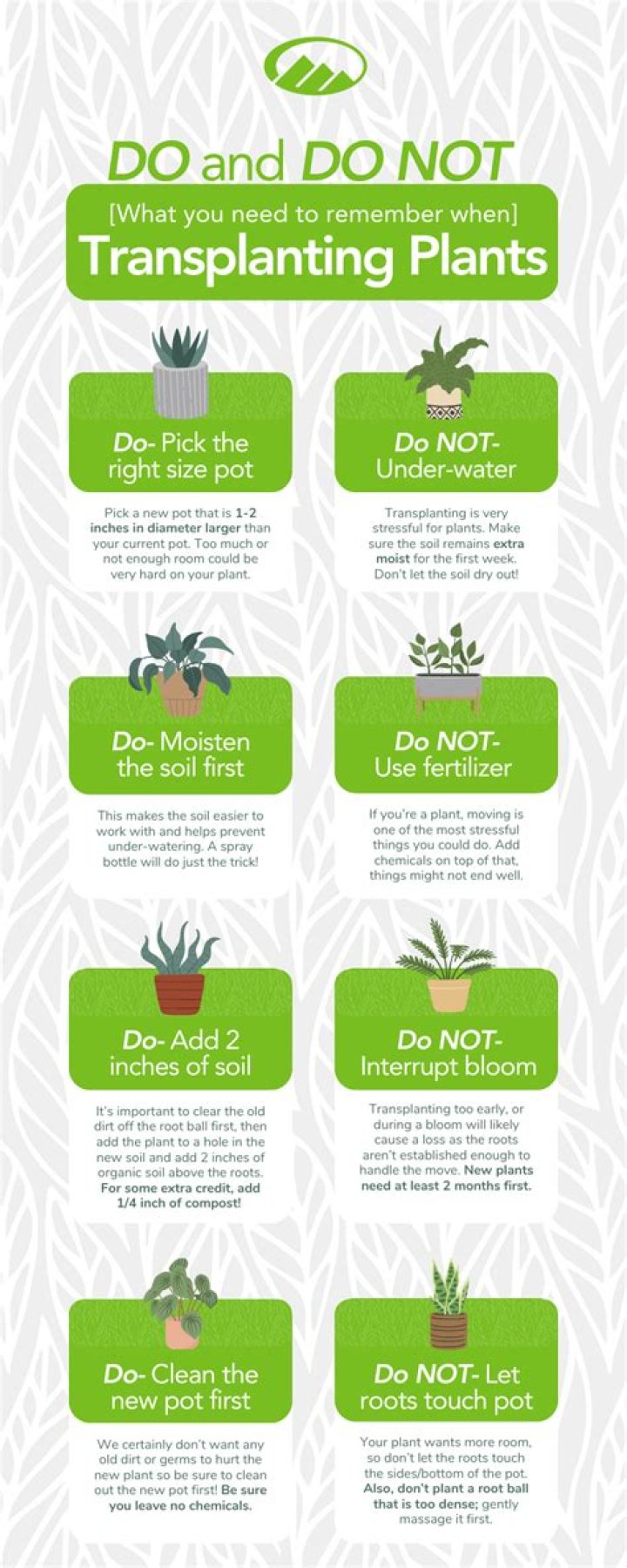 How do you repot a rope plant
