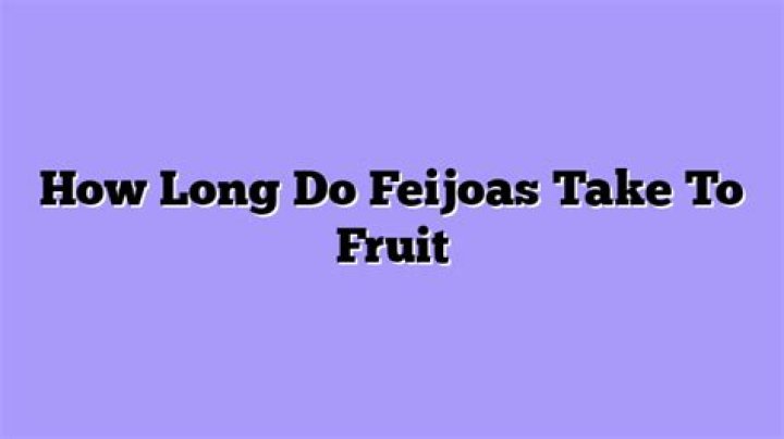 How long do Feijoas take to fruit