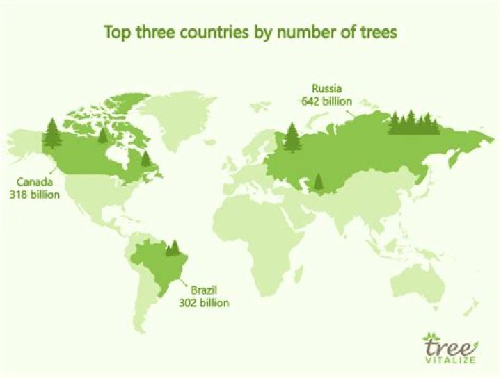 How many trees are in the America