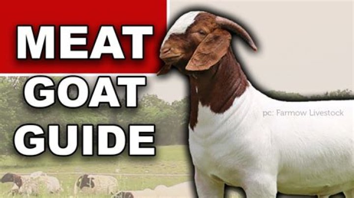 How much is a pound of goat meat