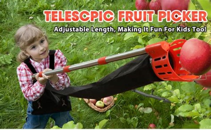 How much pay do fruit pickers get