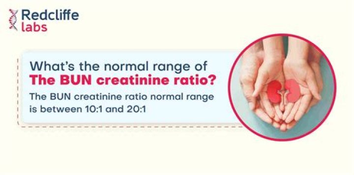 Is 23 a high BUN creatinine ratio