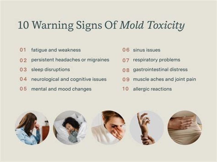 Is mold toxicity a real thing