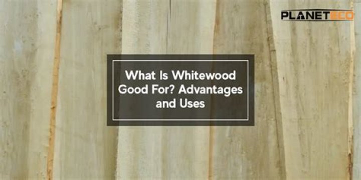 Is Whitewood good for staining