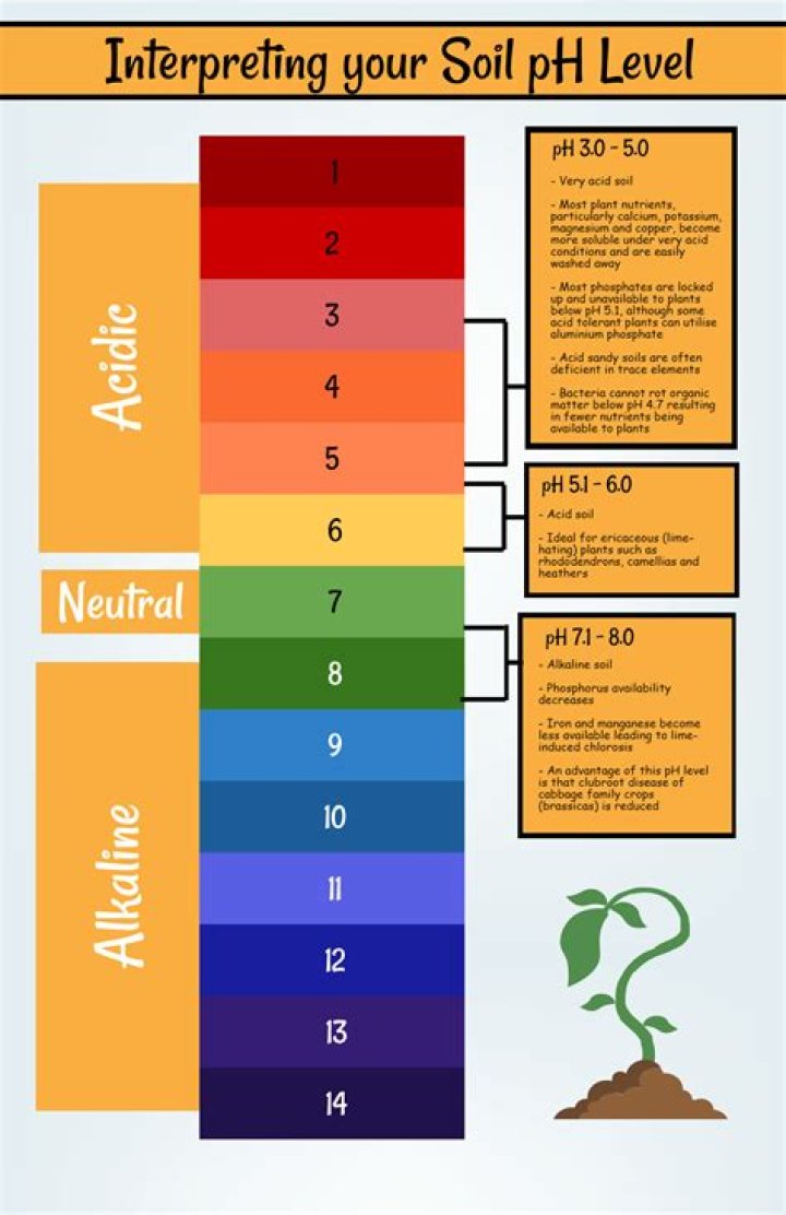 Should you pH your water for soil