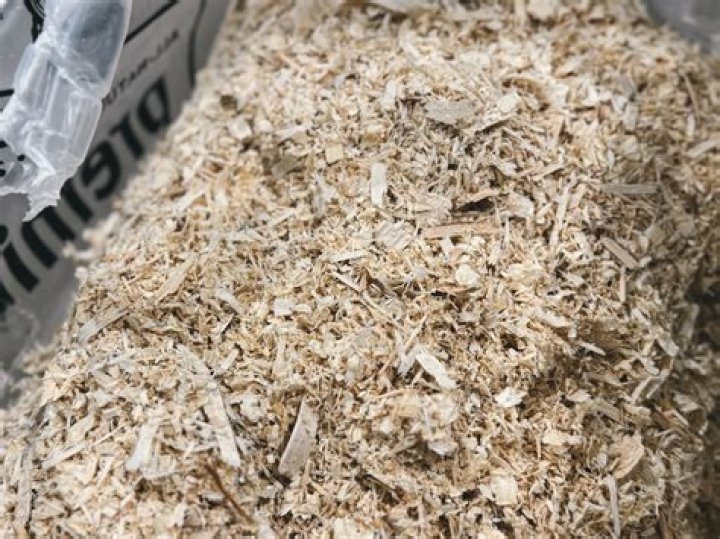 What Animals use pine bedding