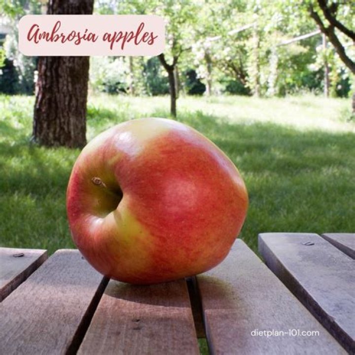 What are ambrosia apples best for