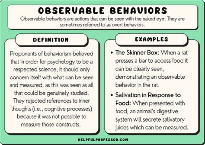 What are observable Behaviours
