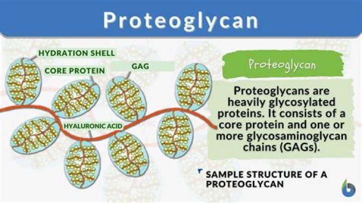 What are proteoglycans made of