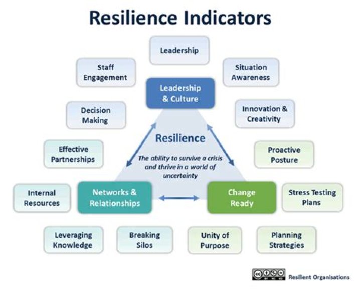 What are resilience indicators
