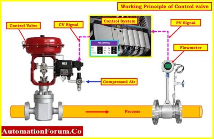 What are the 3 control systems