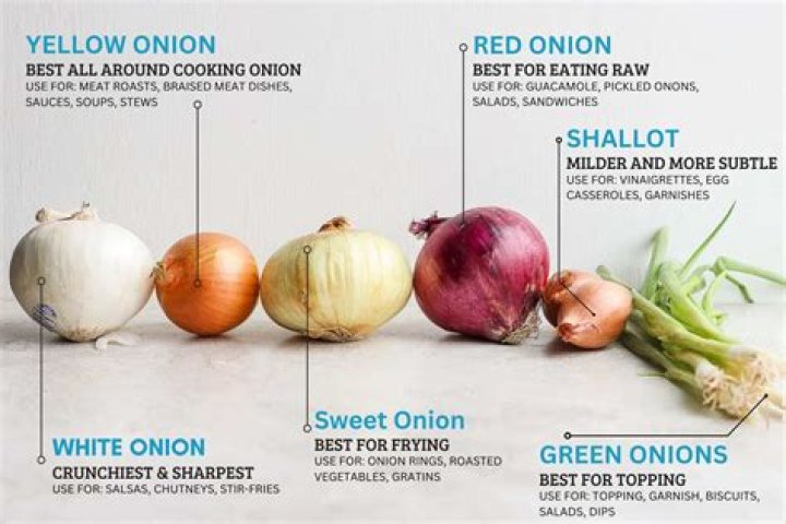What are the 4 types of onions