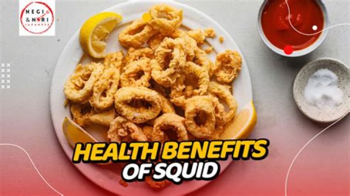 What are the benefits of squid