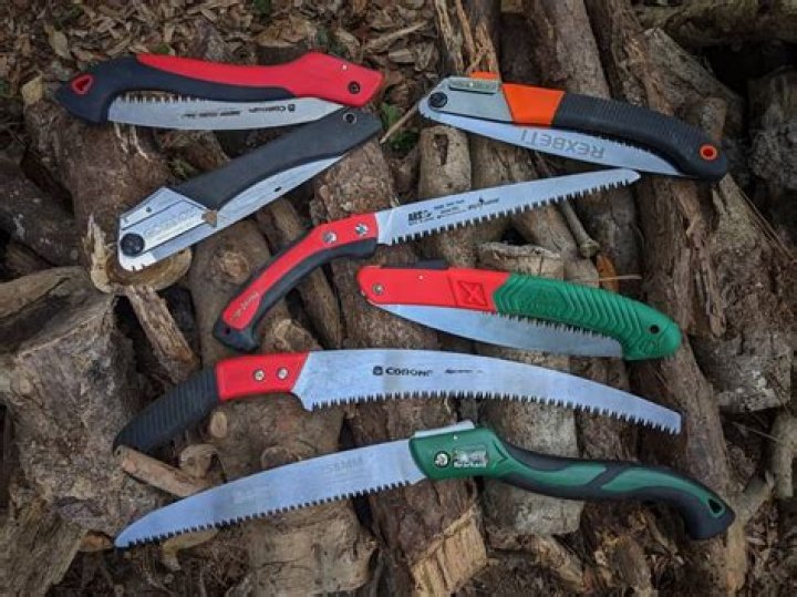 What are the best pruning saws