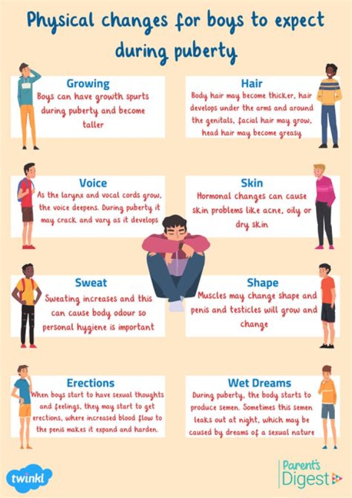 What are the changes seen in boys at the time of puberty