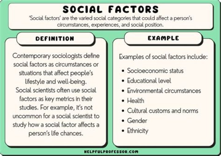 What are the social categories