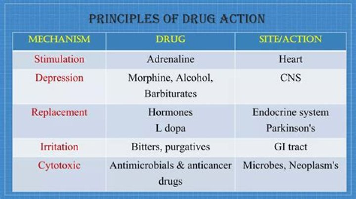 What are the types of drug action
